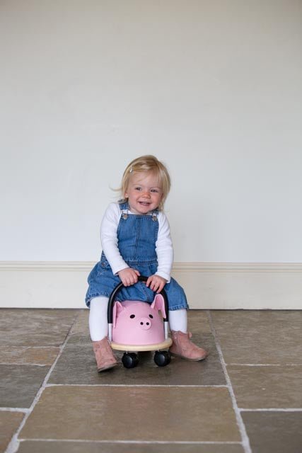 Hippychick Wheelybug Pig - Millie & Jones